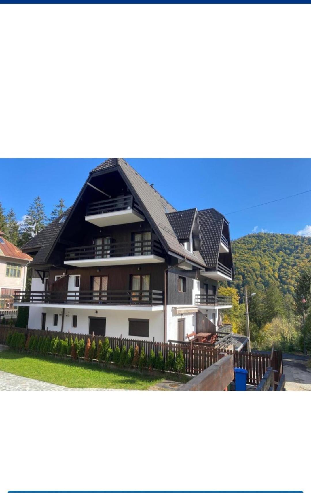 Residence Sinaia Apartment Kültér fotó